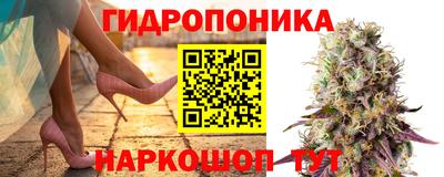 таблы Краснознаменск