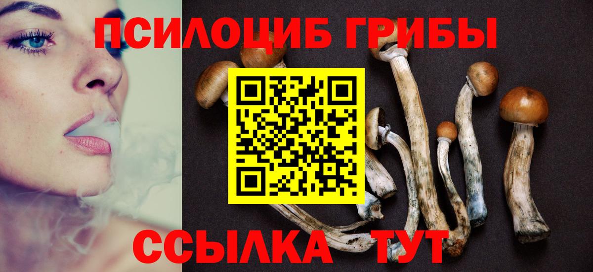 Псилоцибиновые грибы Psilocybine cubensis Королёв